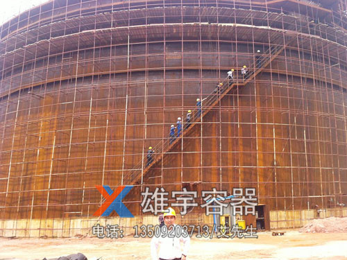 公司（sī）領導考察大型儲罐